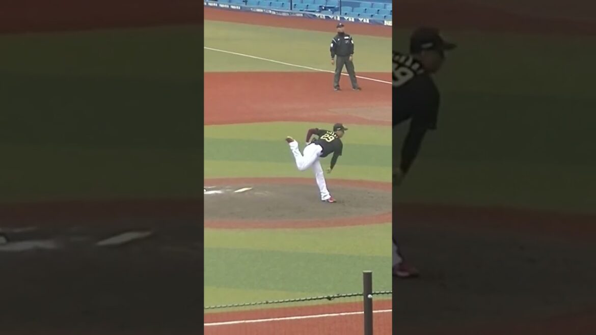 【合同トライアウト】イーグルス高田孝一の投球練習 2024年プロ野球12球団合同トライアウト11月14日