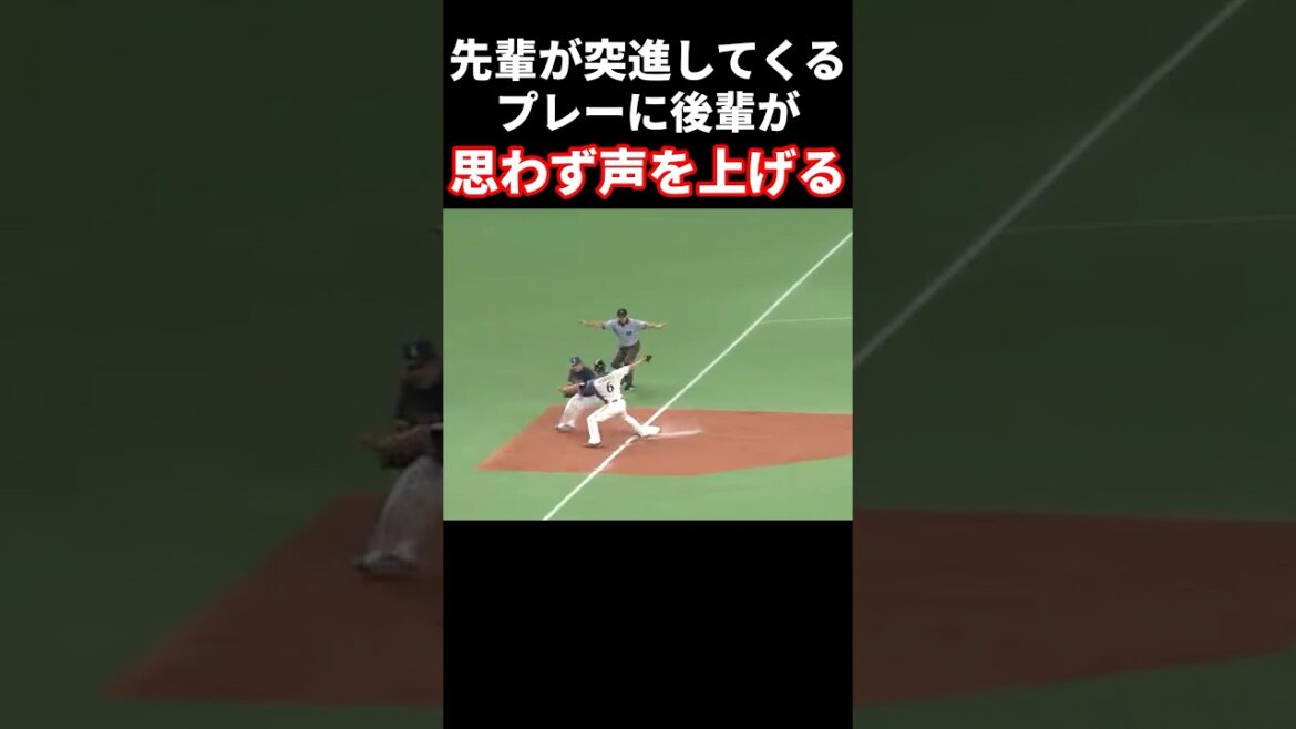 突進に思わず声を上げてしまう #プロ野球