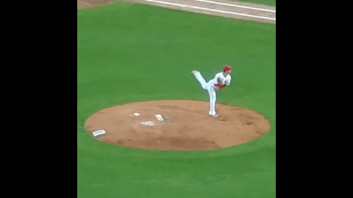 20240812　#玉村昇悟　#投球練習　#shorts　広島東洋ｶｰﾌﾟ先発投手@MAZDA Zoom-Zoom ｽﾀｼﾞｱﾑ広島･ﾋﾞｼﾞﾀｰﾊﾟﾌｫｰﾏﾝｽ