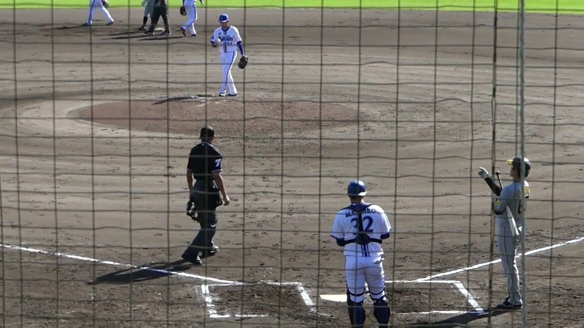 2024年10月みやざきフェニックスリーグ 横浜DeNA ー 阪神・高寺 望夢 選手の第4打席