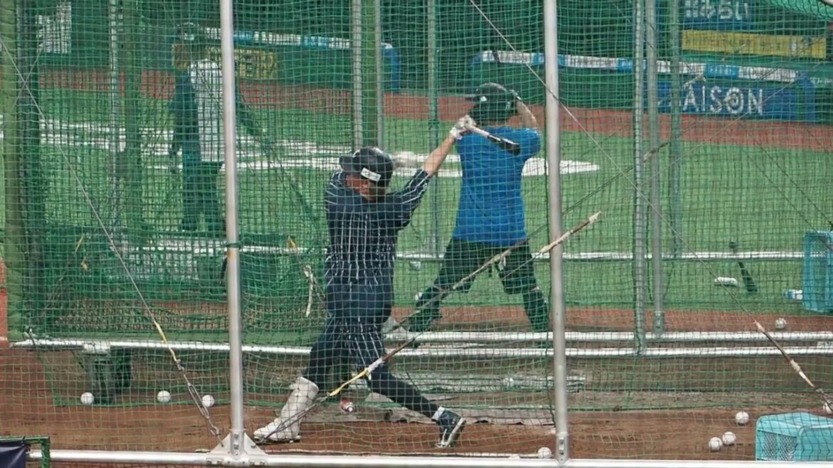 2024.10.19 埼玉西武 秋季練習 #元山飛優 フリーバッティング(ベルーナドーム)