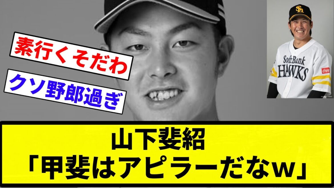 【お前はおもちゃや！】山下斐紹「甲斐はアピラーだなｗ」【プロ野球反応集】【プロ野球反応集】