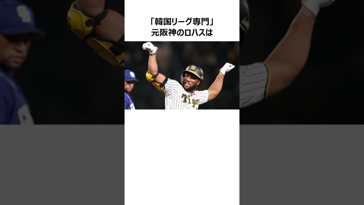 【韓国リーグ専門】メル・ロハス・ジュニアに関する雑学