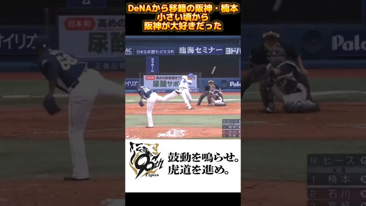 【楠本泰史・阪神に移籍】幼少期から猛虎愛が溢れてた DeNA時代の打撃 #shorts #楠本泰史 #阪神タイガーズ