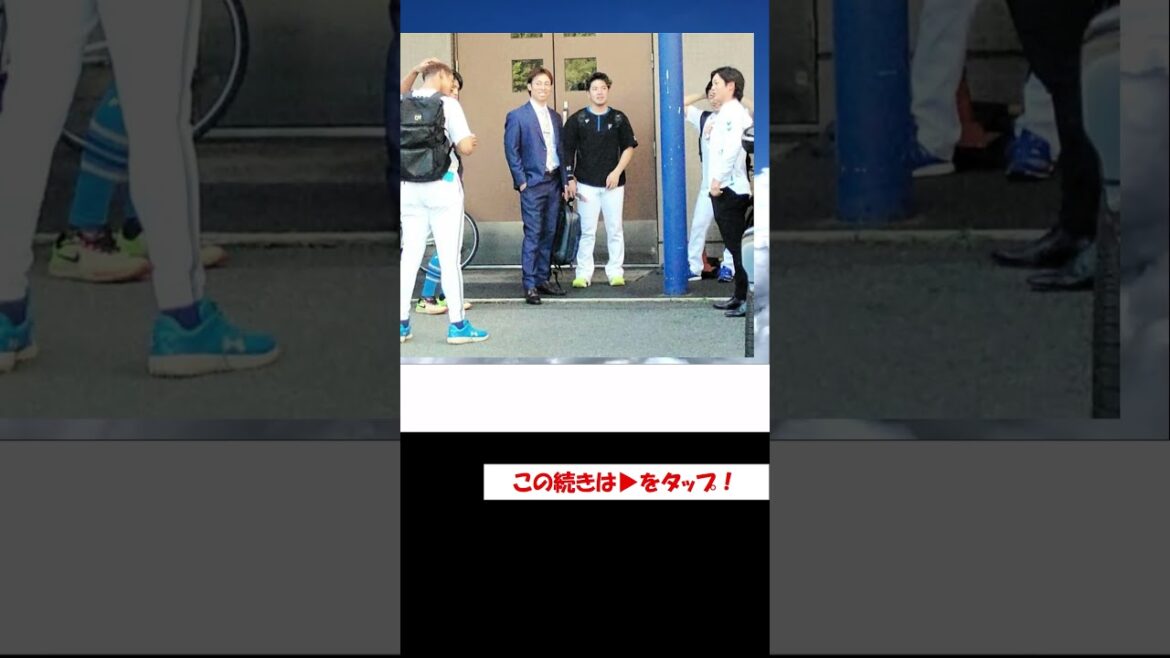 江越大賀 魂の後継者 日ハムに入団会見！　ダルビッシュさんのコメントも #プロ野球 #ダルビッシュ有 #江越大賀