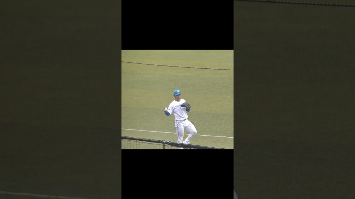 【合同トライアウト】キャッチボールする甲子園優勝投手の柿木蓮2024年プロ野球12球団合同トライアウト11月14日