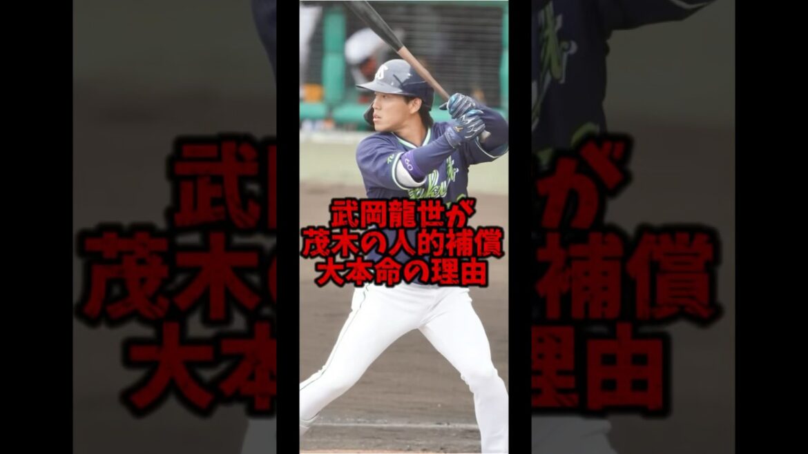 【ヤクルト 人的補償】茂木の人的補償は内野手の武岡龍世が本命の理由  #プロ野球 #ヤクルト #人的補償