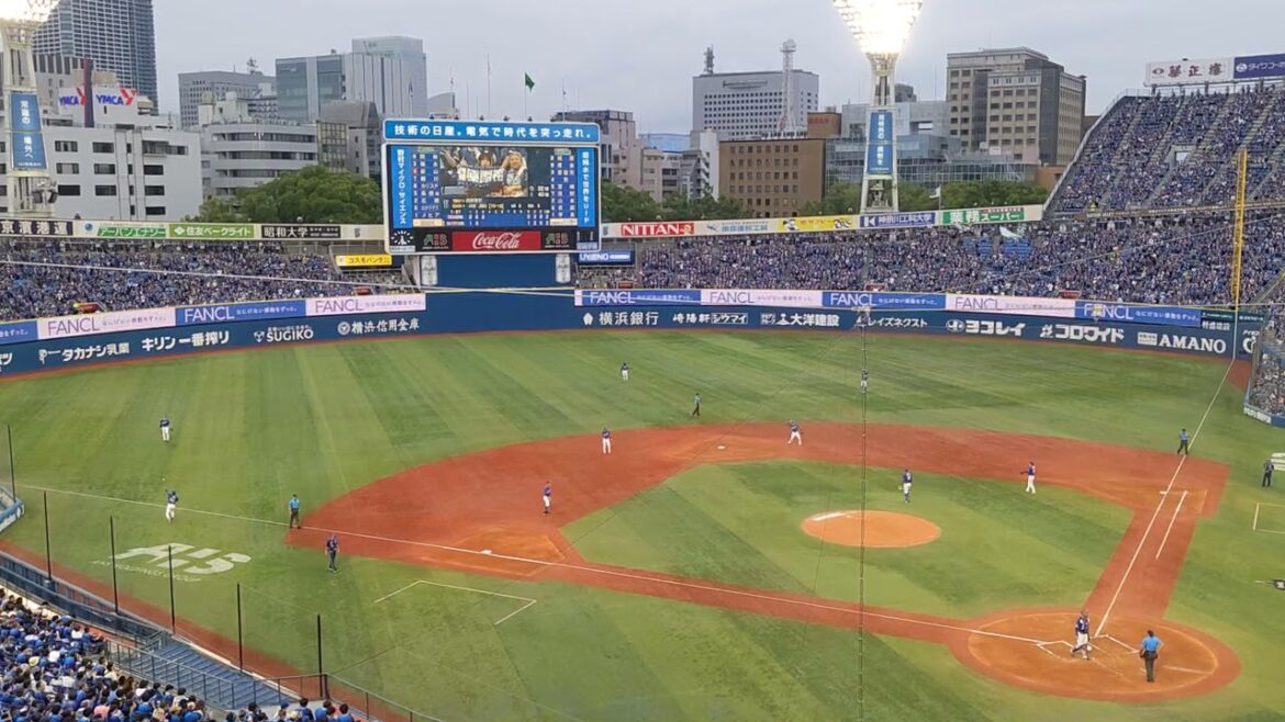 2024年 横浜DeNA 梶原昂希 登場曲 Believe/Folder 5