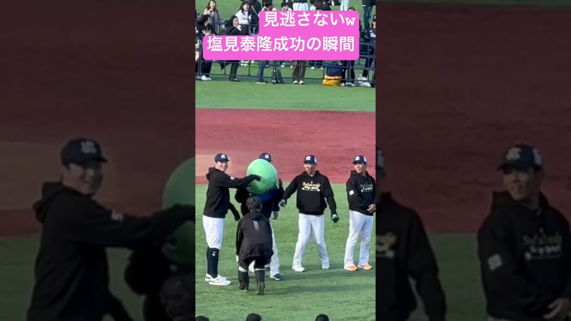 塩見泰隆選手、クルリンパ成功の瞬間！ヤクルトスワローズファン感2024