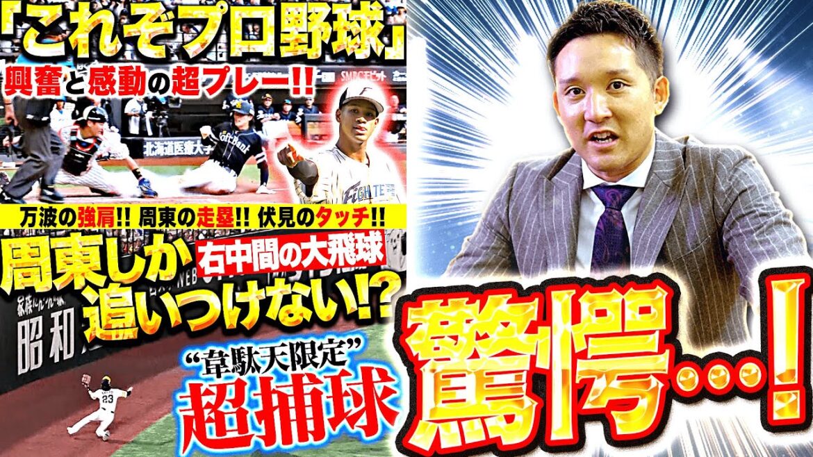【パテレアワード選考中】杉谷拳士 驚愕…！『プロの技術と身体能力が光る“プロが選ぶベストプレー大賞”候補』【パテレAWARDS 2024】