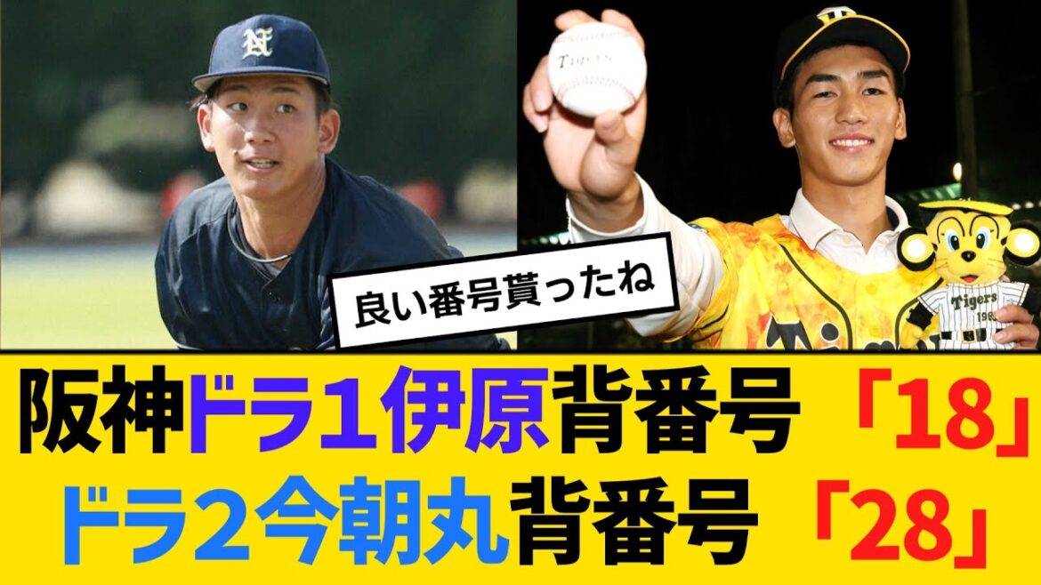 阪神・ドラ１伊原陵人の背番号は「18」、ドラ２今朝丸裕喜の背番号は「28」　【ネットの反応】【反応集】
