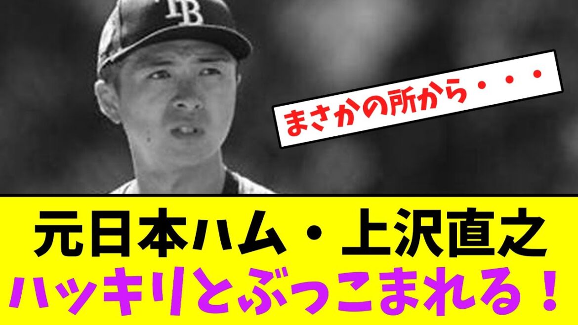 元日本ハム・上沢直之、ハッキリとぶっこまれる！【なんJなんG】【2ch5ch】