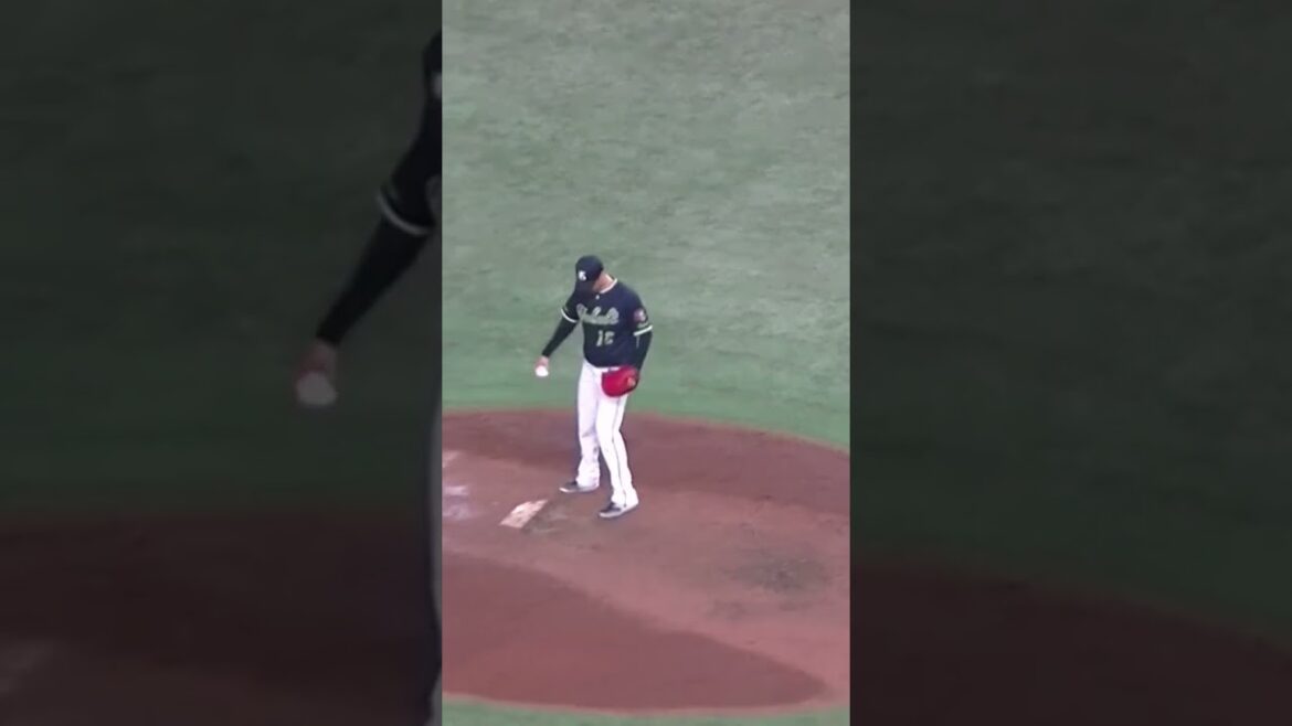 【野球選手フォーム集】石山泰稚の投球フォーム（2024年4月30日 読売ジャイアンツ対 ヤクルトスワローズ）