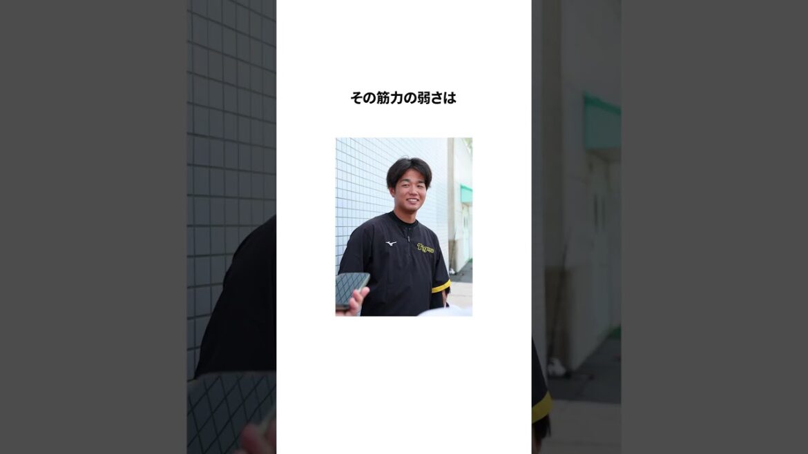 【虎の妖精】髙橋遥人の雑学＃shorts＃プロ野球#雑学