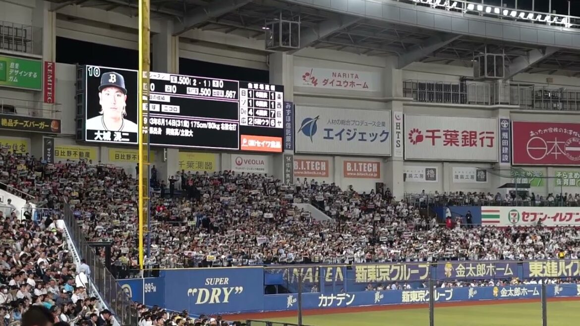 オリックス・バファローズ 琉球のタオちゃん inZOZOマリンスタジアム 2024 9-26