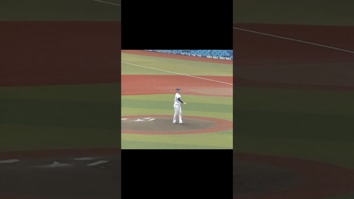 【合同トライアウト】ライオンズ伊藤翔の投球練習2024年プロ野球12球団合同トライアウト11月14日