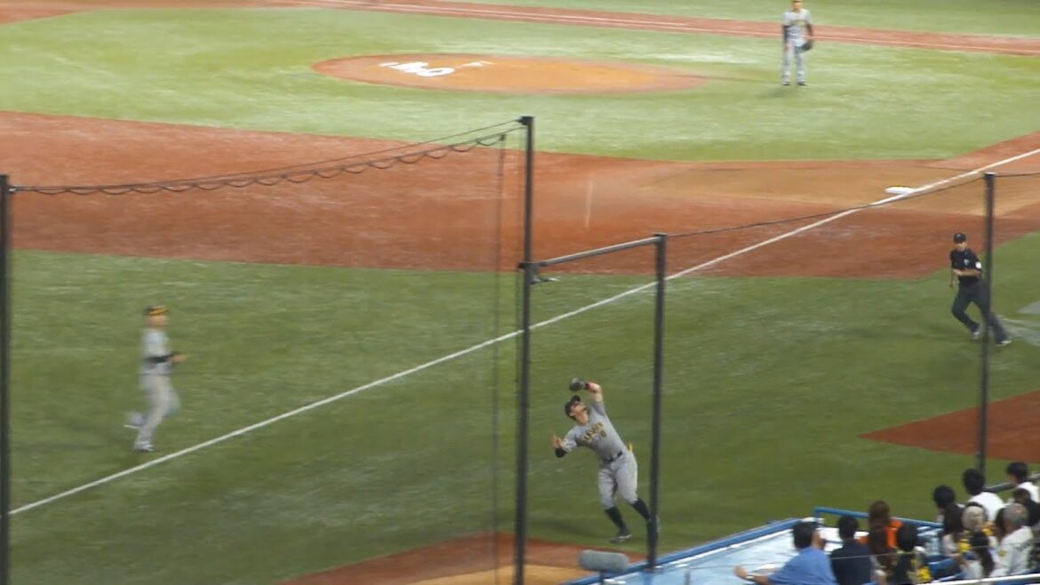 阪神 佐藤輝明 ホームラン、エラー、ナイスプレー　2024年 神宮球場 東京ドーム