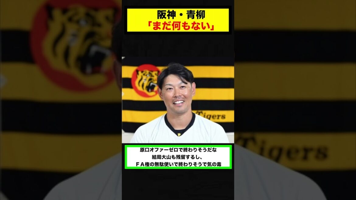 【反応集】阪神・青柳晃洋「まだ何もない。なるようになればいいかなと」【#short】【#shorts】【#野球】【#反応集】【#青柳晃洋】 【反応集】阪神・青柳晃洋「まだ何もない。なるようになればいいかなと」【#short】【#shorts】【#野球】【#反応集】【#青柳晃洋】
