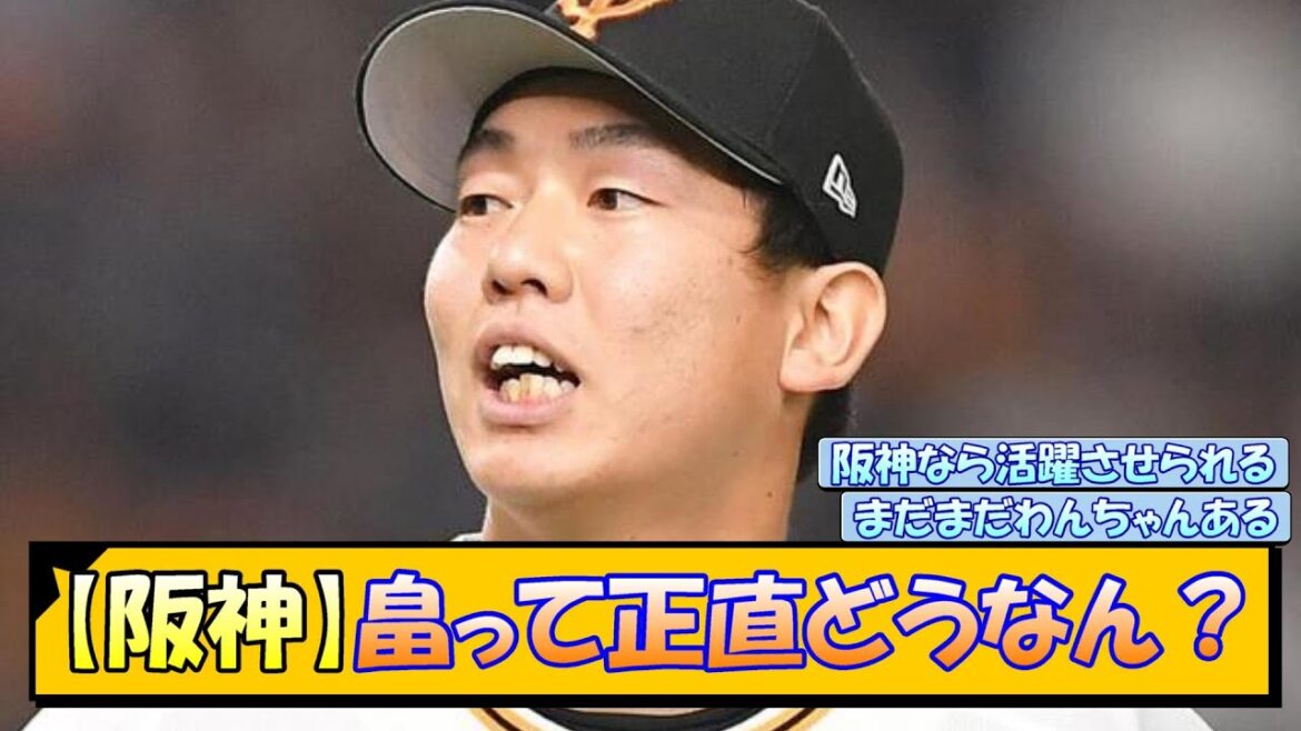 【阪神】畠って正直どうなん？【なんJ/2ch/5ch/ネット 反応 まとめ/阪神タイガース/藤川球児/浜地真澄/現役ドラフト】