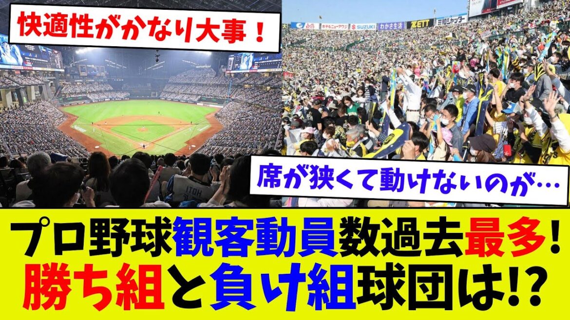 【最強コンテンツ！】プロ野球観客動員数過去最多！　その中でも明暗がはっきり！　そのポイントは○○！