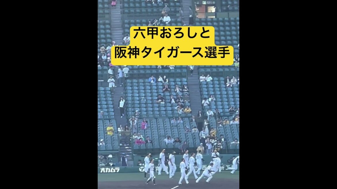 #tigers #阪神タイガース 選手アップ #阪神甲子園球場