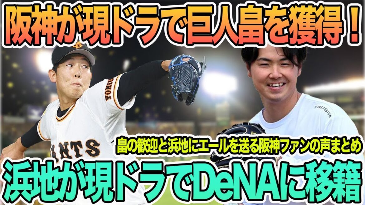 【阪神現ドラで巨人畠を獲得!】 浜地が現ドラでDeNAに移籍 現役ドラフト 現ドラ 新入団選手発表 畠世周 浜地 【阪神現ドラで巨人畠を獲得!】 浜地が現ドラでDeNAに移籍 現役ドラフト 現ドラ 新入団選手発表 畠世周 浜地