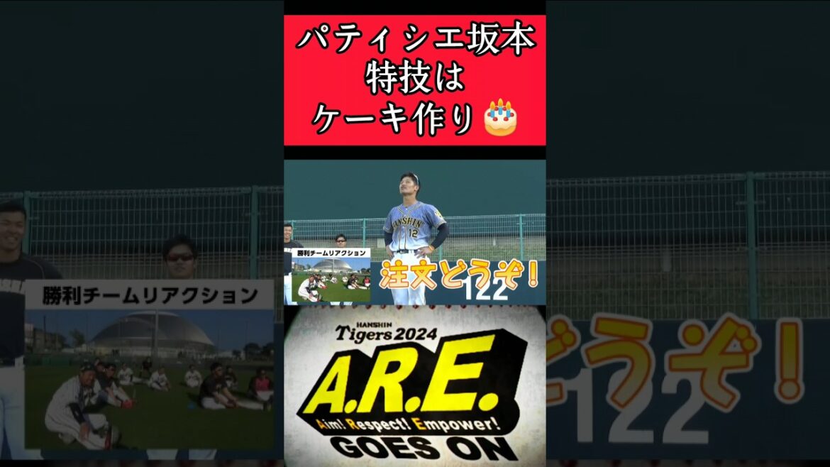 【阪神】"坂本誠志郎"特技はケーキ作り！ #阪神 #阪神タイガース #坂本誠志郎 #shorts