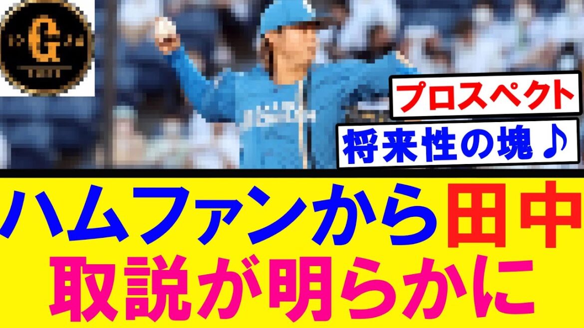 【行けるやん！】日ハムファンからの田中の取説がこちら