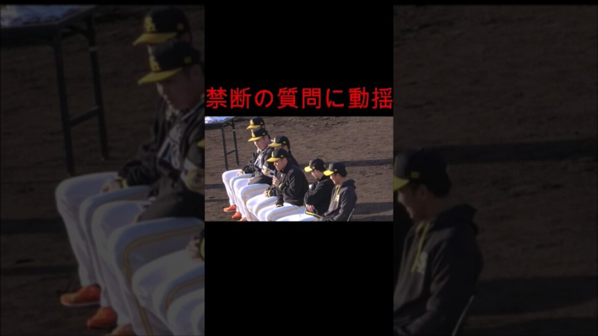 【甲斐拓也のFA】巨人交渉の質問にガチ動揺する海野隆司W　#甲斐拓也 #giants #読売ジャイアンツ #sbhawks #福岡ソフトバンクホークス #プロ野球