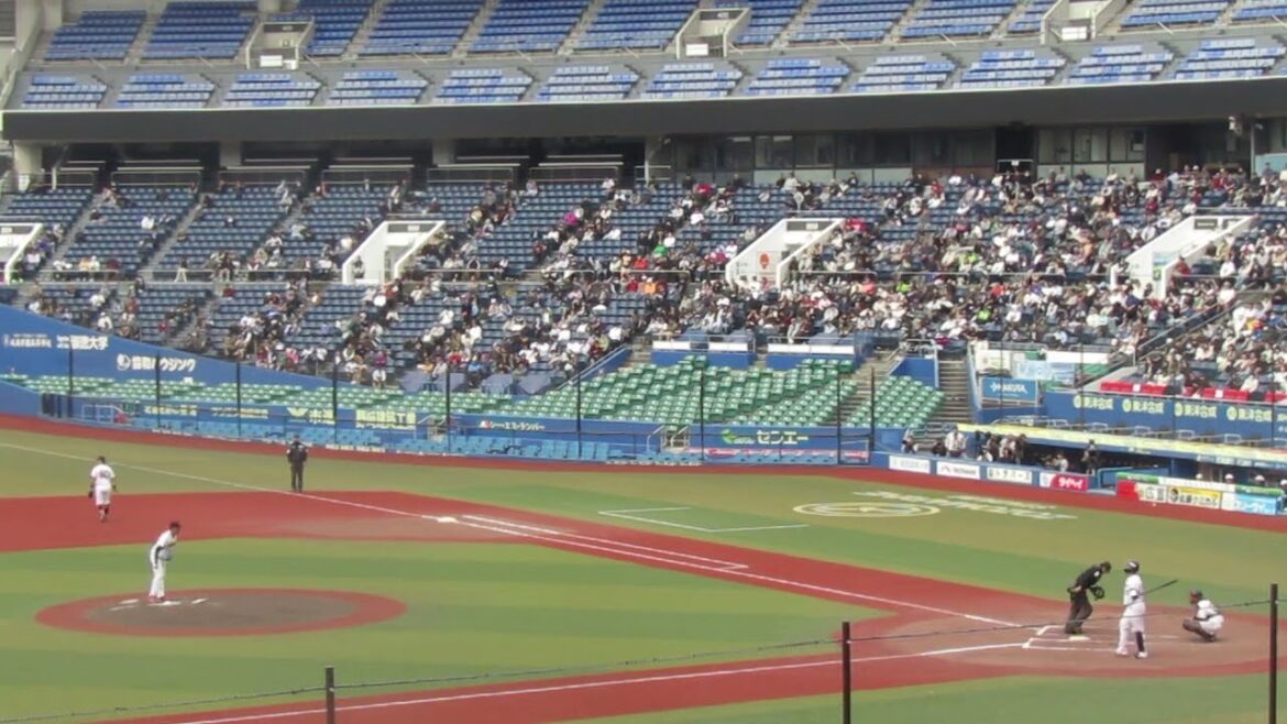 トライアウト〜ヤクルト西田明央が元楽天 吉川雄大からヒット（2024年11月14日 プロ野球合同トライアウト ）