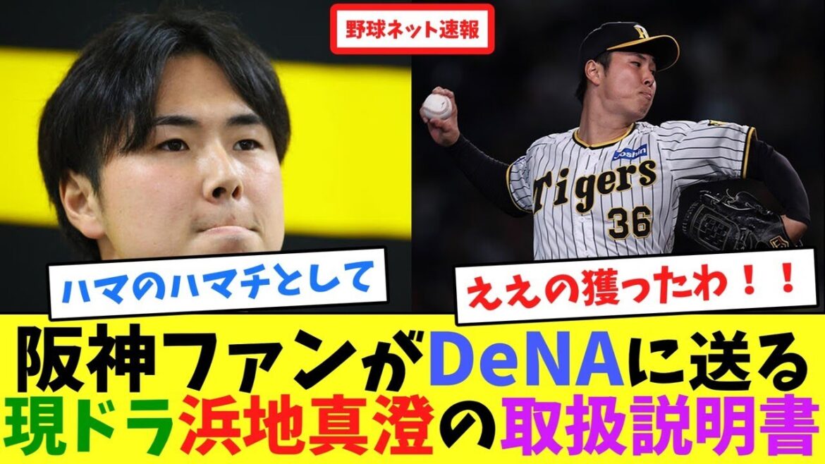 阪神ファンがDeNAに送る、現ドラ浜地真澄の取扱説明書【ネット反応集】 阪神ファンがDeNAに送る、現ドラ浜地真澄の取扱説明書【ネット反応集】