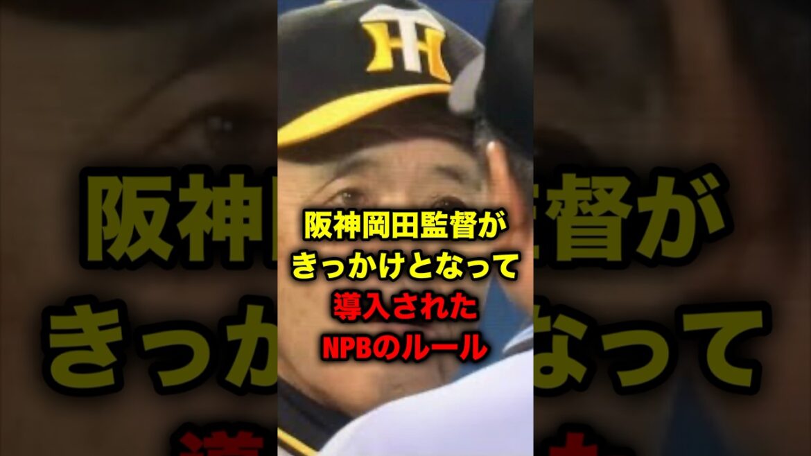 阪神岡田監督がきっかけとなって導入されたNPBのルール 阪神岡田監督がきっかけとなって導入されたNPBのルール