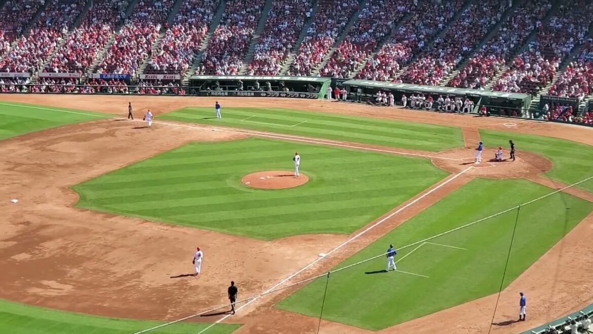 20240503　打者の蝦名達夫に汎用ﾃｰﾏを使用！【右打者汎用応援歌】横浜DeNAﾍﾞｲｽﾀｰｽﾞ　9回表@MAZDA Zoom-Zoom ｽﾀｼﾞｱﾑ広島･ﾋﾞｼﾞﾀｰﾊﾟﾌｫｰﾏﾝｽ