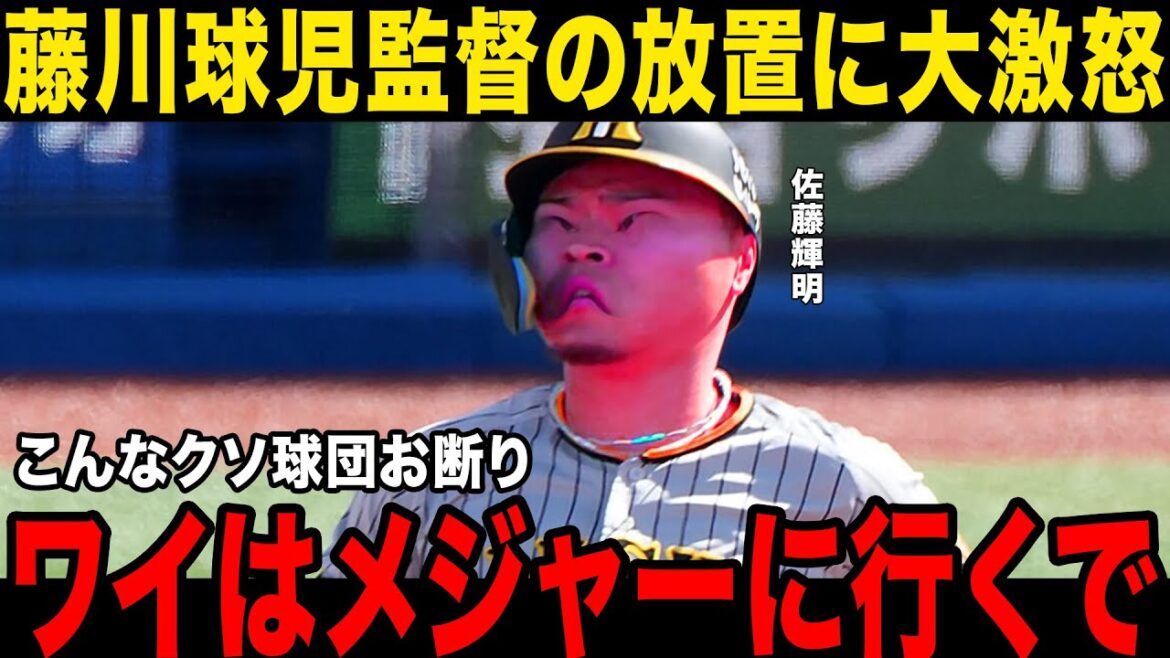 【メジャー】佐藤輝明が藤川監督に大激怒…阪神からの移籍を勝手に発表…！球団との確執、今後の方針が…！