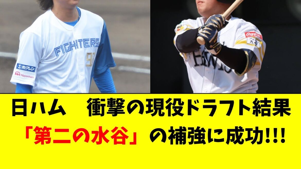 【日ハム】現役ドラフト結果速報！第2の水谷候補を獲得！！