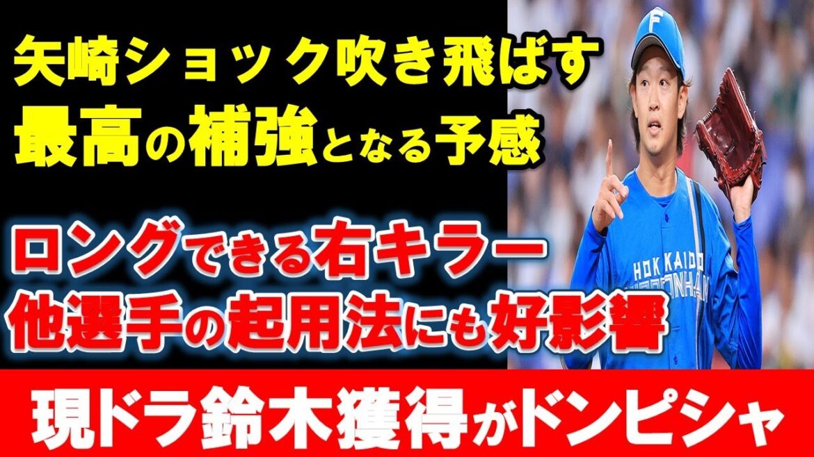 【2024現ドラ】カープ鈴木健矢の獲得が最高すぎる！他選手の起用法にも好影響を与える最高の補強に！【広島東洋カープ】
