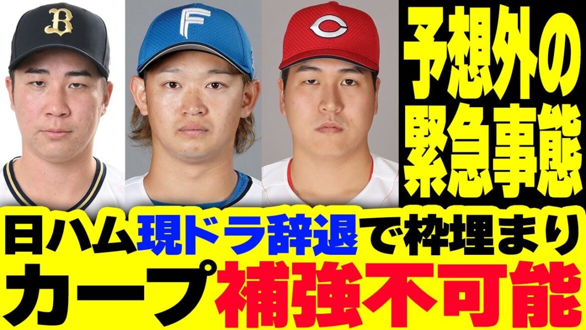 カープ現役ドラフトで鈴木健矢を獲得も日ハム辞退で枠が埋まって補強ができない緊急事態