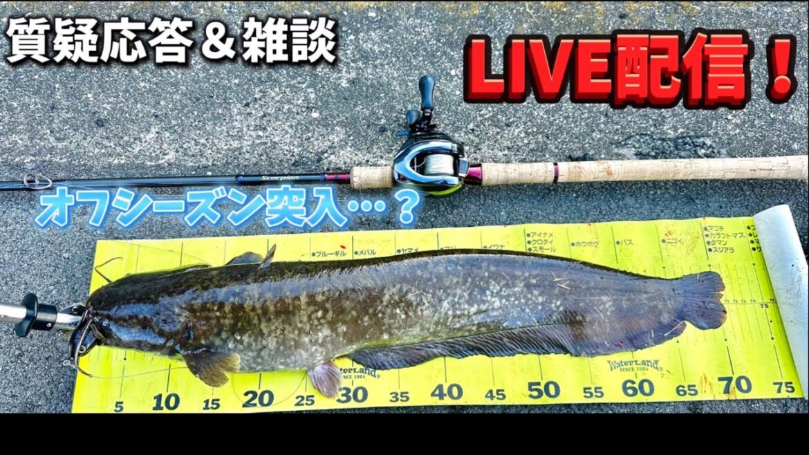 【質疑応答＆雑談】LIVE配信　冬が来た‼︎寒い時期はどんな釣りをしよう？？