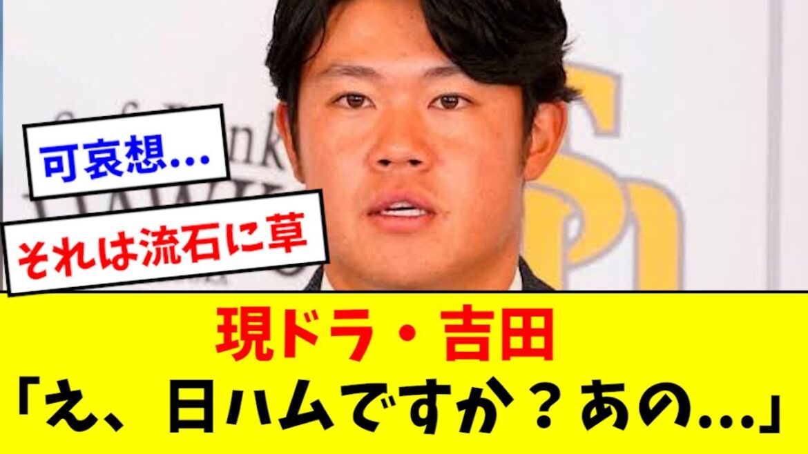 【現ドラ】吉田、日ハム行きに正直コメントwwwwwww