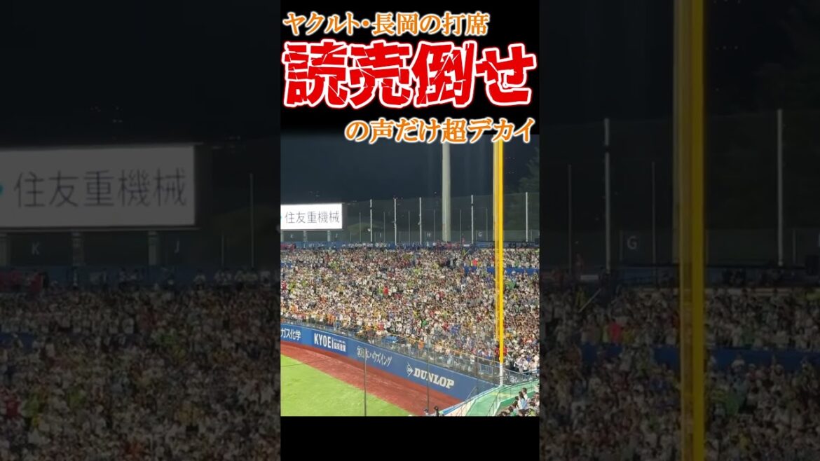『読売倒せ』の声だけ超デカイオールスターファン #プロ野球 #オールスター #読売ジャイアンツ #東京ヤクルトスワローズ #中日ドラゴンズ #阪神タイガース #横浜denaベイスターズ #長岡秀樹