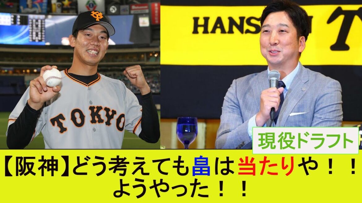 【阪神】どう考えても畠は当たりや！！ようやった！！【なんJ/2ｃｈ/5ｃｈ/反応/まとめ/阪神タイガース/現役ドラフト/畠世周】
