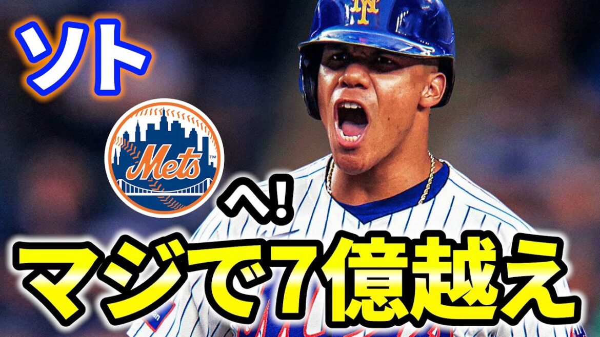 【ドン引き】最大8億ドル越え！ソトがメッツと契約！契約詳細とメッツのこれから  MLB  ヤンキース  レッドソックス メジャーリーグ ぶらっど【史上最高】