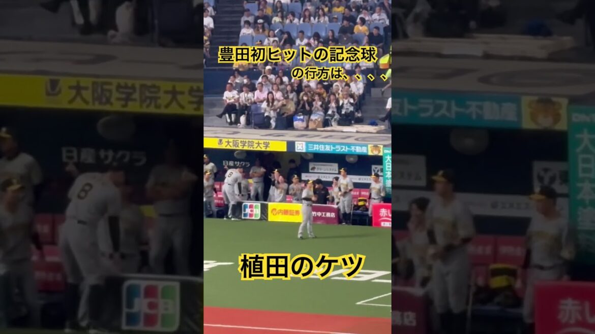 豊田の初ヒットのボールをケツにしまう植田海 #阪神タイガース #豊田寛 #記念ボール