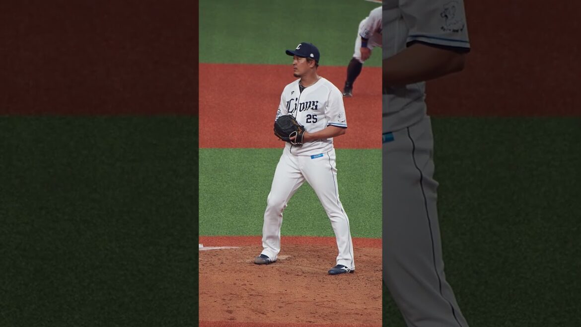 2024.06.22 埼玉西武-千葉ロッテ(ベルーナドーム) 平井克典 投球シーン #seibulions #プロ野球