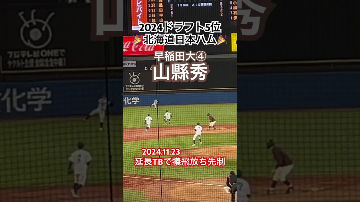 #山縣秀 #北海道日本ハムファイターズ #大学野球 #プロ野球 #早稲田大学