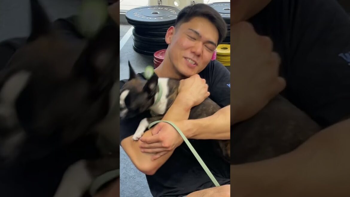 横浜みなとみらいクロスフィットジムuninterested fitnessの看板犬ユーフィー #crossfit 横浜みなとみらいクロスフィットジムuninterested fitnessの看板犬ユーフィー #crossfit