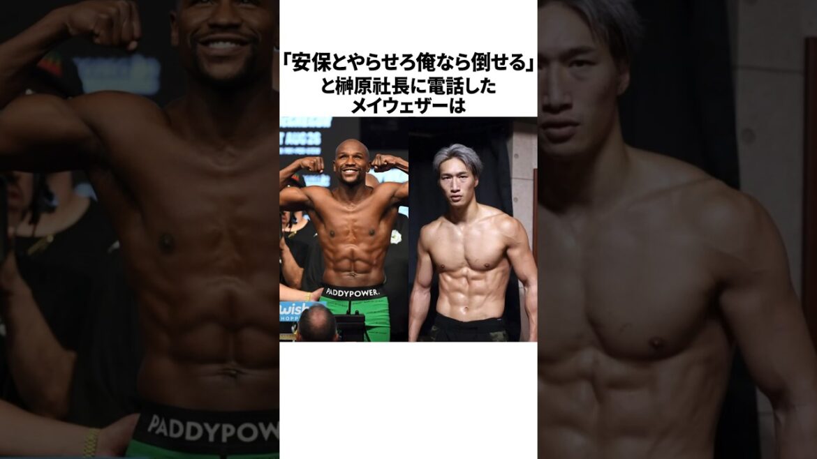 ㊗️130万再突破‼︎安保瑠輝也vsメイウェザーに関する雑学　#安保瑠輝也  #メイウェザー