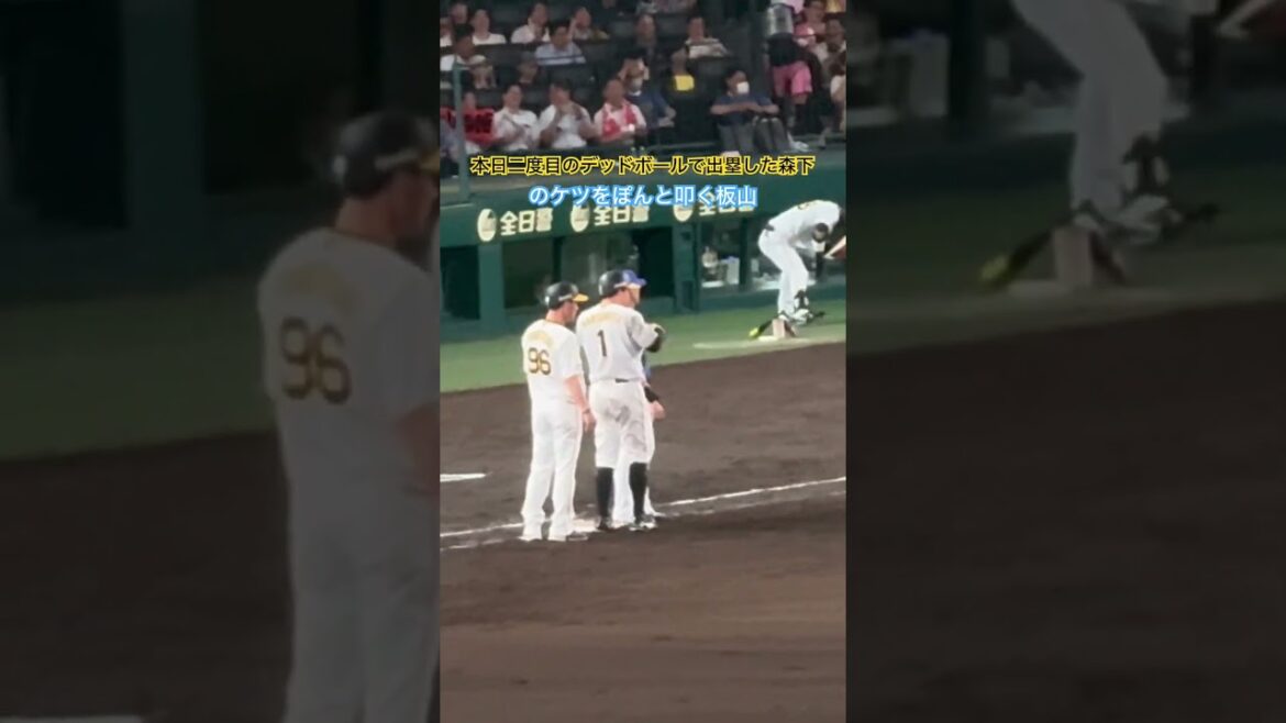 #板山祐太郎 2死球の森下のケツを叩く　#森下翔太