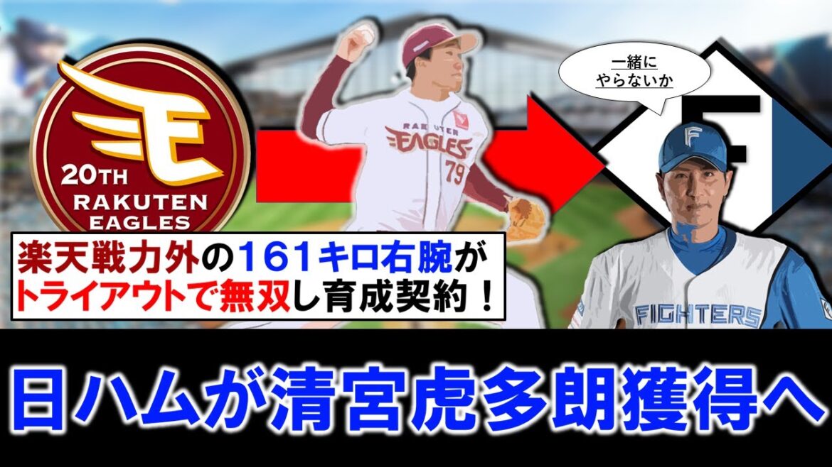 【やはり獲得球団アリ！】日本ハムが楽天戦力外の『清宮虎多朗』を育成契約で獲得発表！最速１６１キロ右腕はコントロールに苦しむもトライアウト無双しアピールを見せ来季もＮＰＢでプレー！