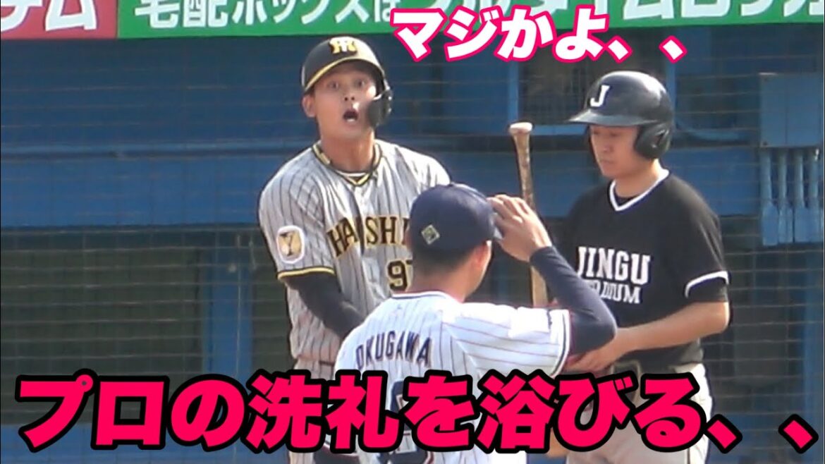 【虎の右の期待の大砲野口がプロ初打席も奥川に死球を当てられプロの洗礼を浴びる、、】阪神対ヤクルト